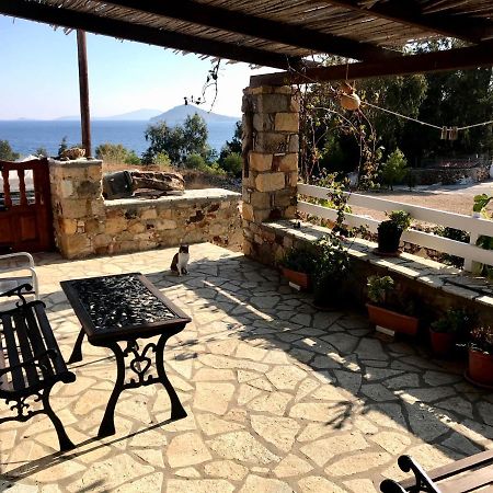 Chris House Villa Sapsila Bagian luar foto
